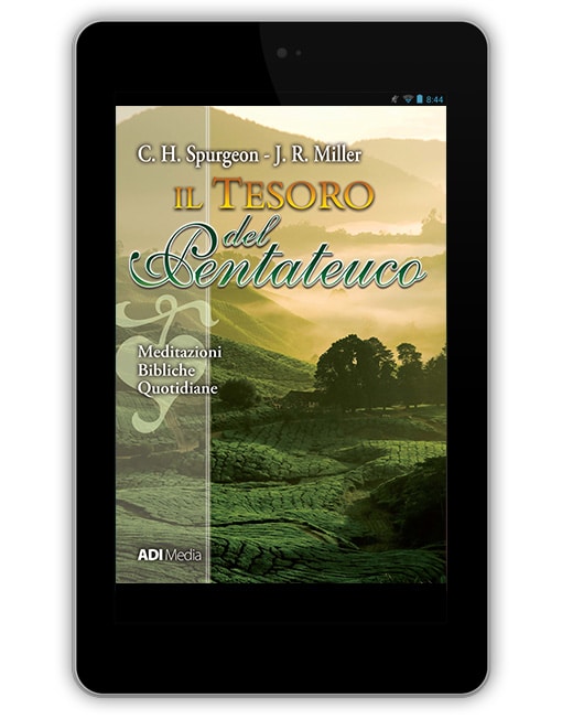 IL TESORO DEL PENTATEUCO [EBOOK]