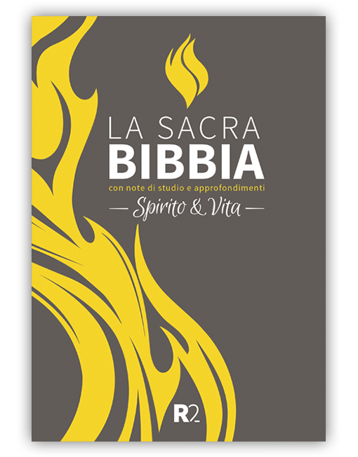 BIBBIA SPIRITO E VITA R2 - Cartonata grigio/giallo