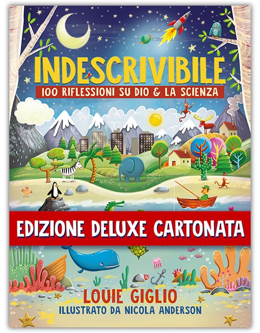 INDESCRIVIBILE - RILEGATO